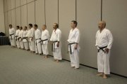 Dedicated Masters to Preserving the Art of Traditional Japanese Karate-do